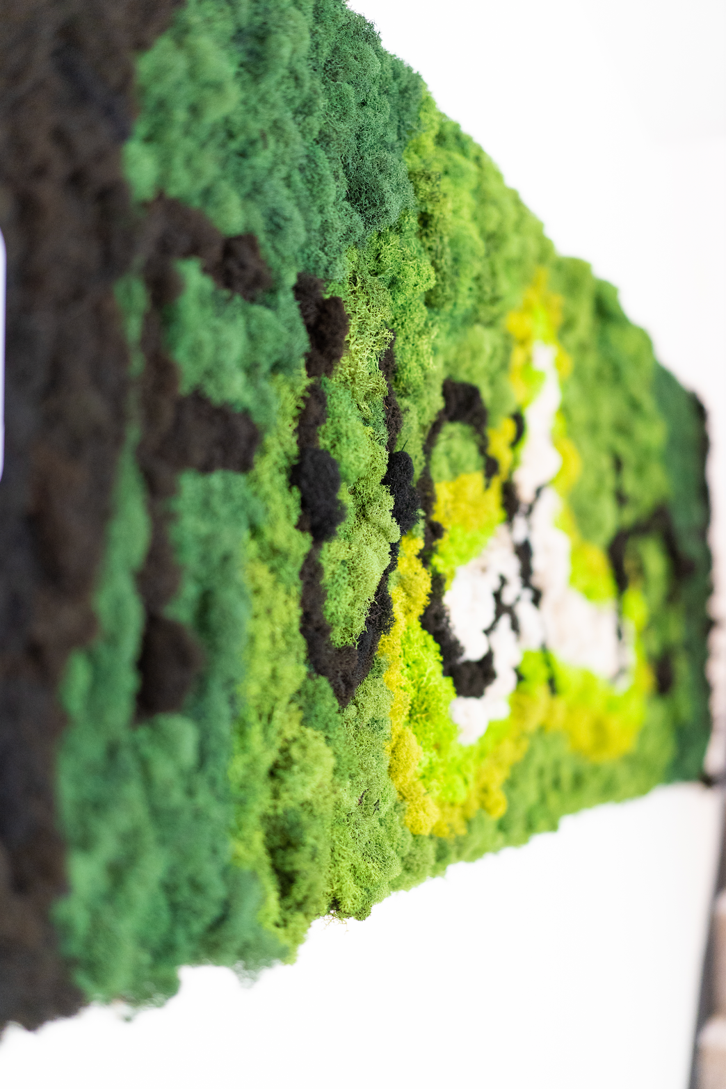 Offensive Moss