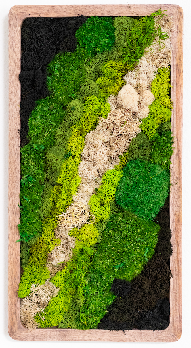 Le Petit Moss