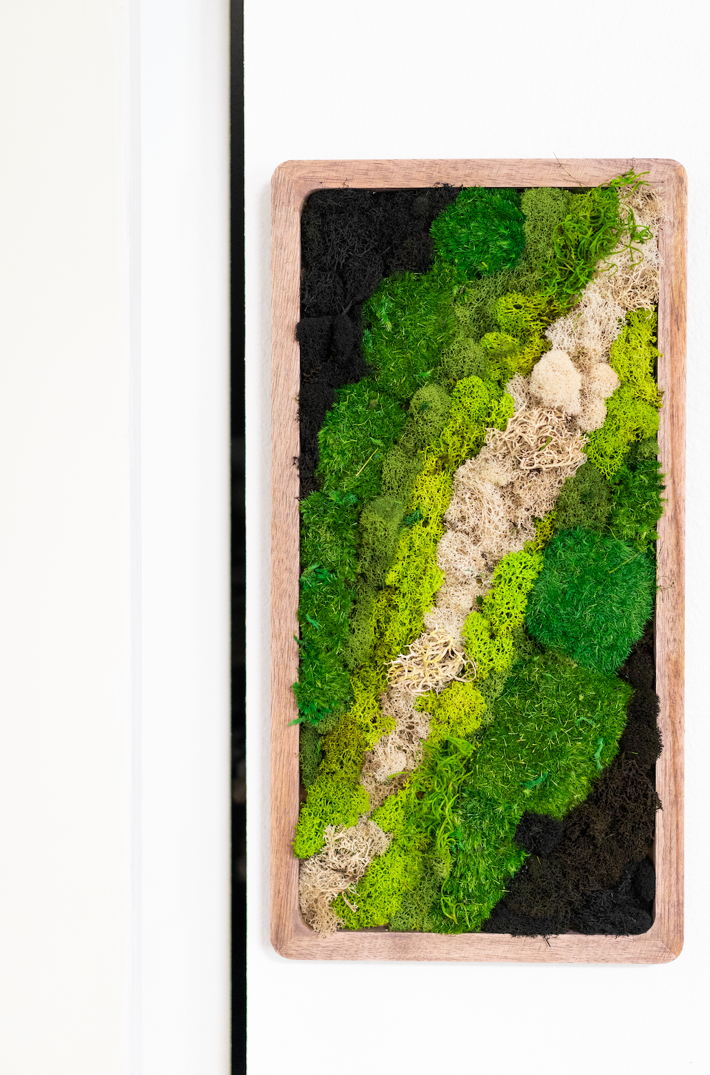 Le Petit Moss