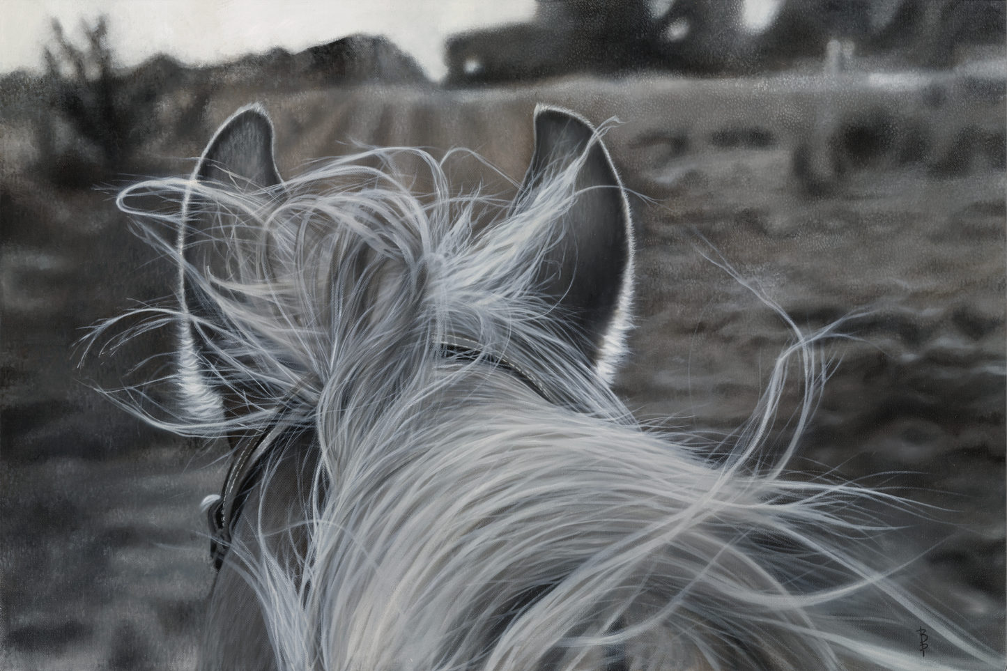 Horse with No Name Print