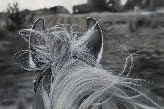 Horse with No Name Print